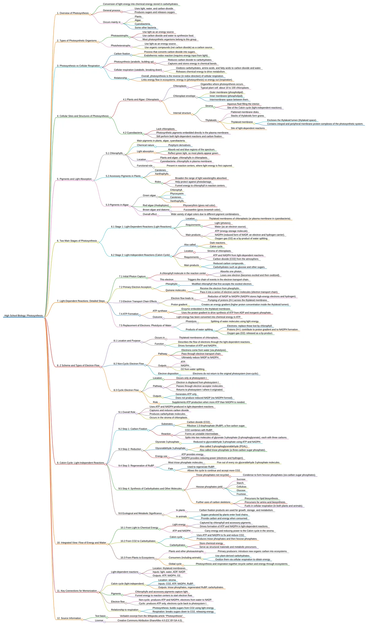 Photosynthesis mind map generated by PhotoExamAI: overview, chloroplast structure, pigments, light-dependent reactions, Z scheme and Calvin cycle